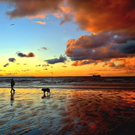 Studio Cap Sur Mer Boulogne-sur-Mer Exteriör bild