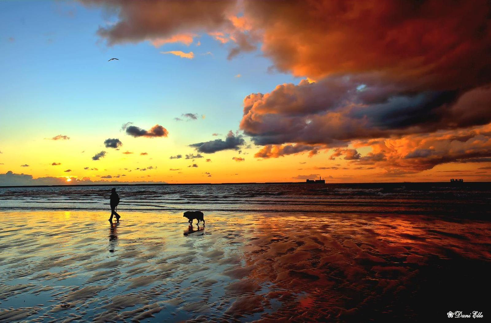 Studio Cap Sur Mer Boulogne-sur-Mer Exteriör bild